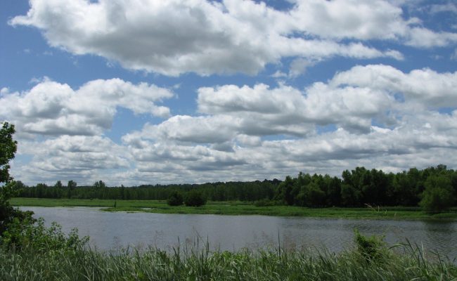 Cloud - Science180 (10)