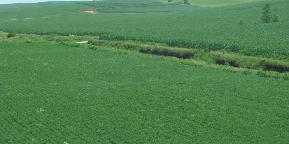 Landscape - Science180 - Nathanael-Israel Israel