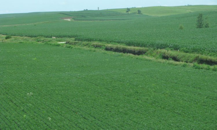 Landscape - Science180 - Nathanael-Israel Israel