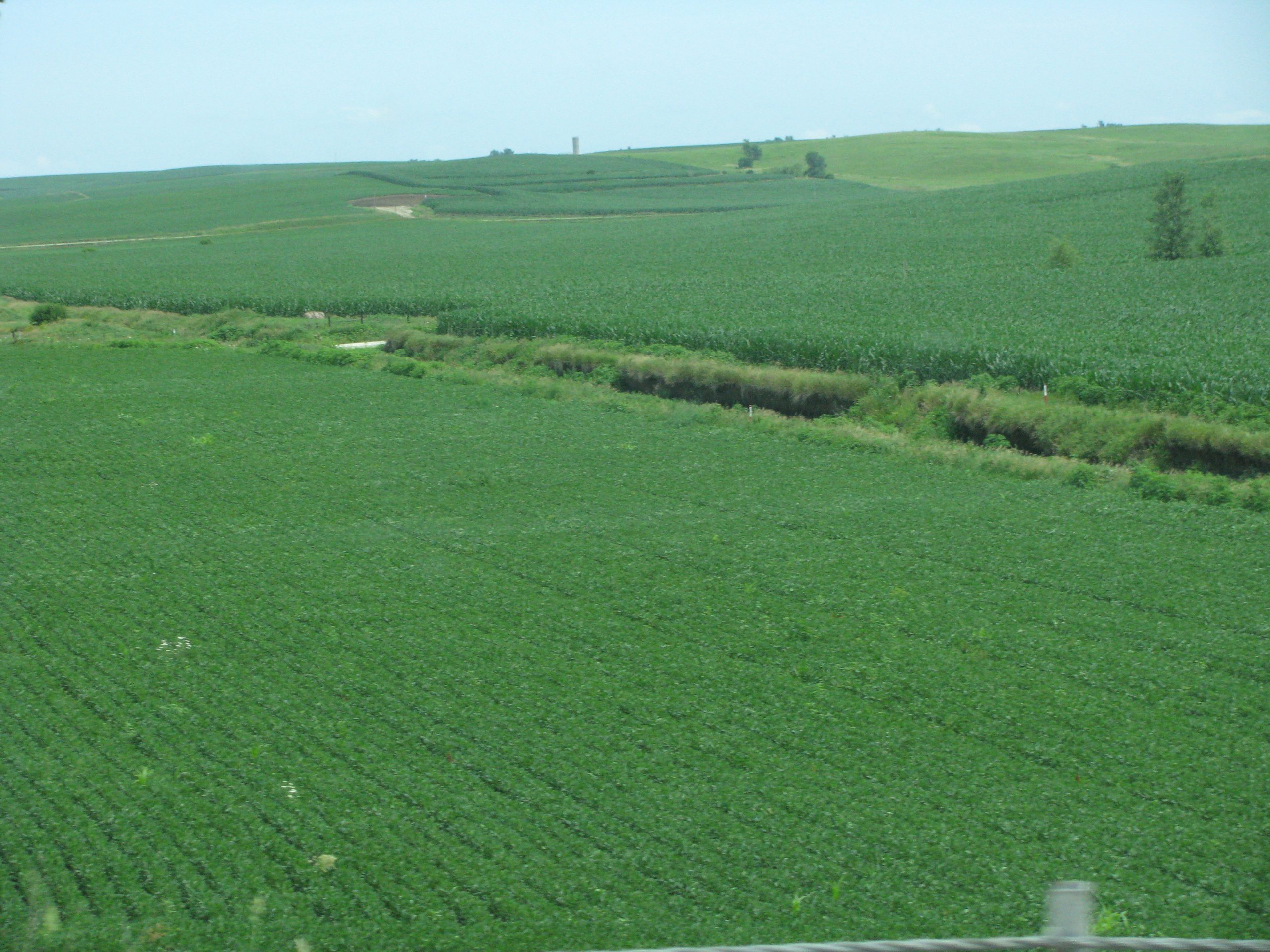 Landscape - Science180 - Nathanael-Israel Israel